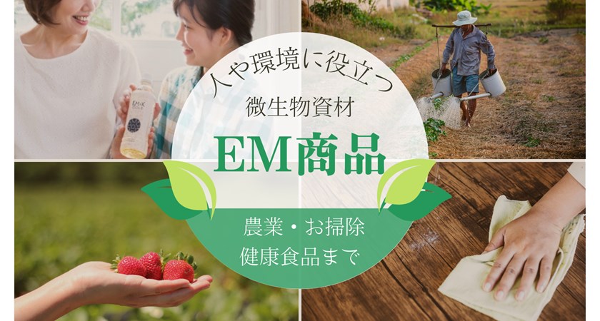 超お徳用 沖縄県産 EM栽培ハウスへちま 20kg 超お徳用 沖縄県産 EM栽培ハウスへちま 20kg